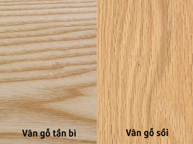 Gỗ tần bì (sồi Nga) có vân gỗ to, thớ gỗ lớn hơn gỗ sồi (sồi Mỹ)
