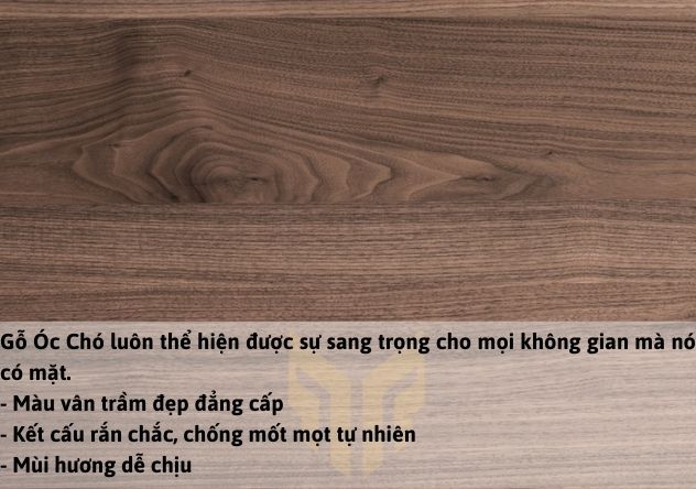 Gỗ Óc Chó với vân màu trầm dùng làm tủ bếp cao cấp