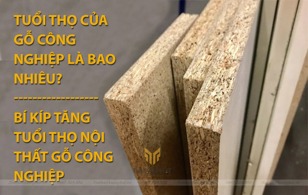 Tuổi thọ của gỗ công nghiệp là bao nhiêu?