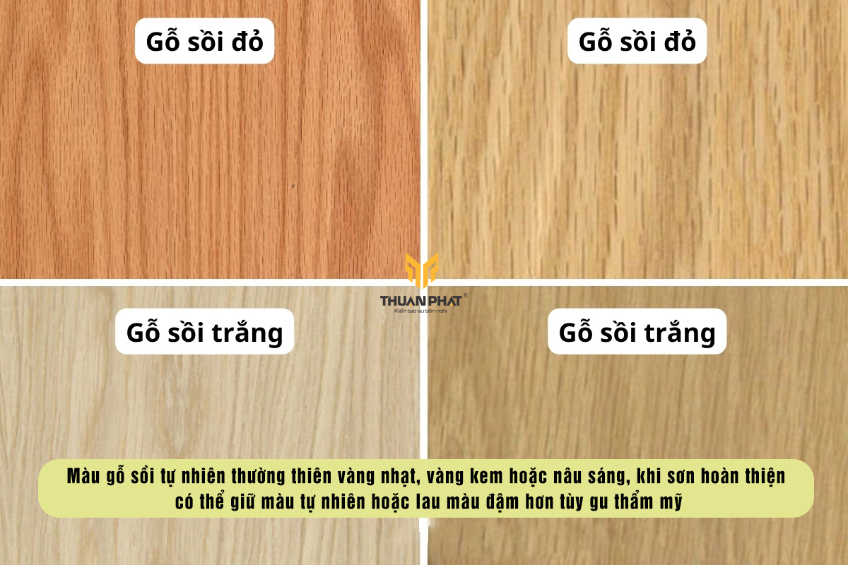 Màu gỗ sồi tự nhiên thường thiên vàng nhạt, vàng kem hoặc nâu sáng, khi sơn hoàn thiện có thể giữ màu tự nhiên hoặc lau màu đậm hơn tùy gu thẩm mỹ