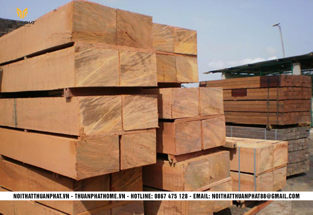 Gỗ gõ đỏ thuộc nhóm I tại Việt Nam