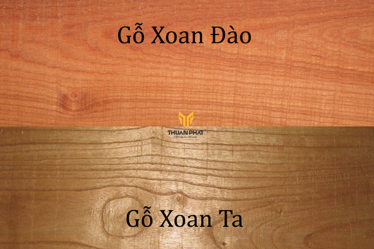 Gỗ Xoan Đào có 2 loại