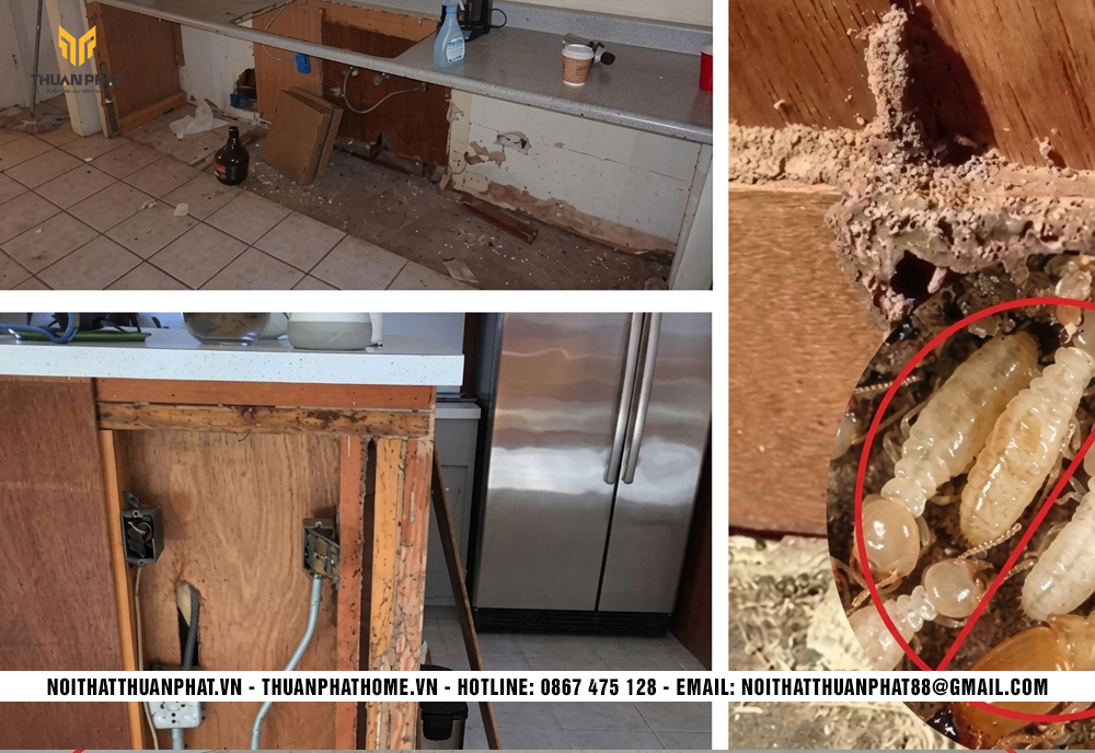 Nếu nhà hay bị mối mọt thì tủ bếp nhựa là giải pháp tối ưu nhất